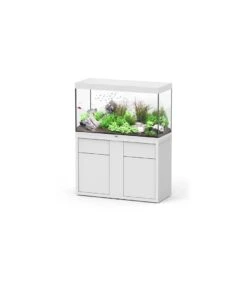 Aqualantis Sublime 120x50x70