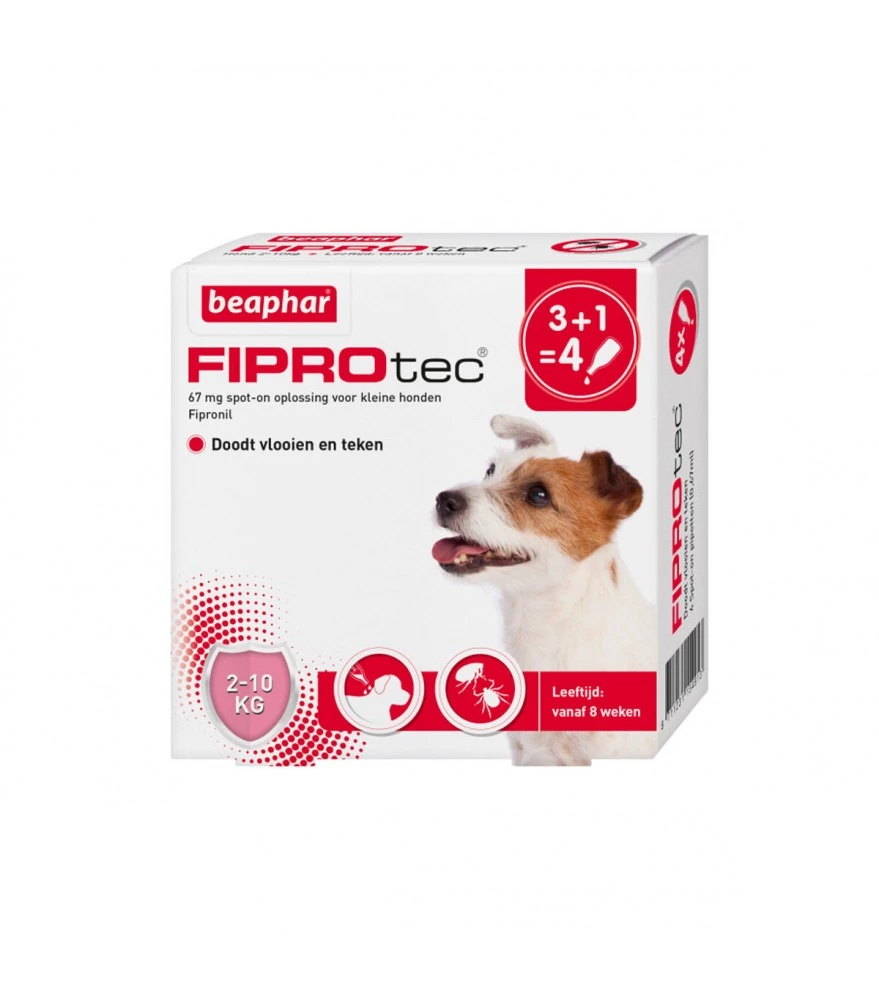 Beaphar Fiprotec Spot On Hond 2-10 Kg 4 Pipetten 1 Beaphar Fiprotec Spot On Hond 2-10 Kg 4 Pipetten