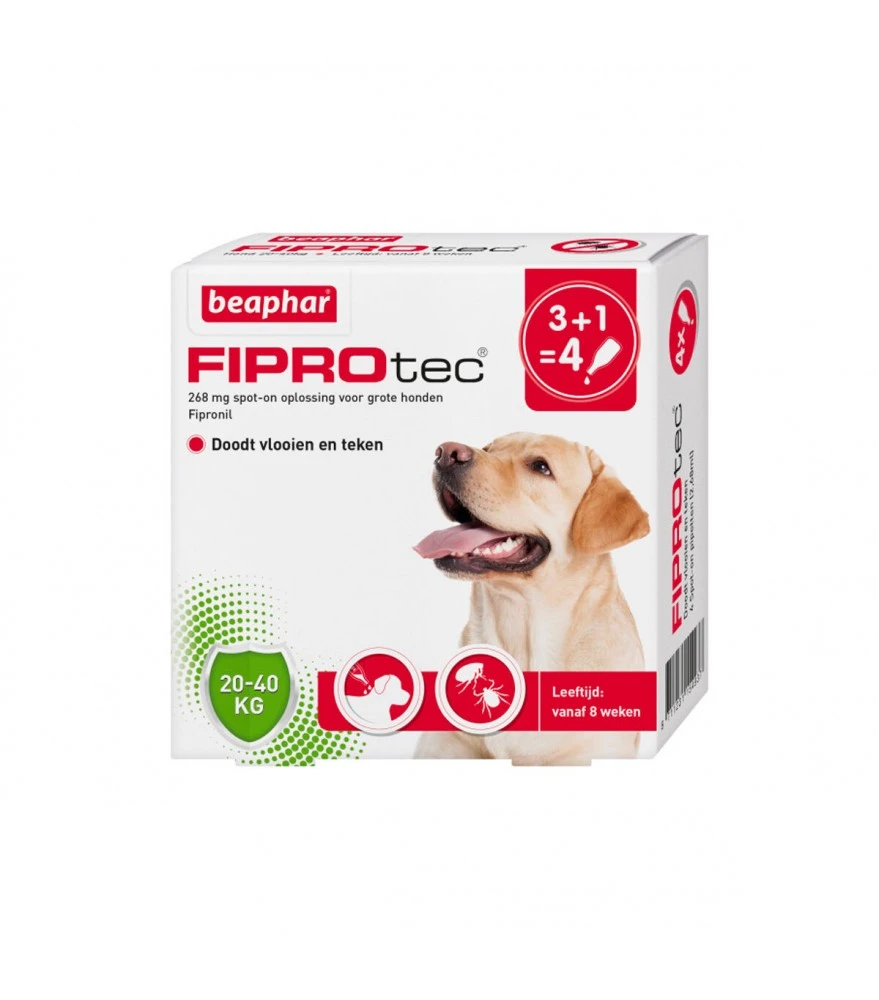 Beaphar Fiprotec Spot On Hond 20-40 Kg 1 Beaphar Fiprotec Spot On Hond 20-40 Kg