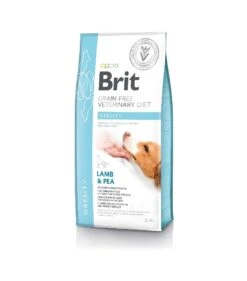 BRIT GF VD Obesity 12kg