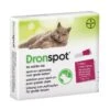 Dronspot Kat Van 5 Tot 8 Kg Grote Kat