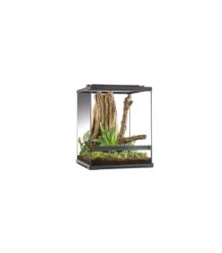 Exo Terra Frog Pijlgifkikker Terrarium 60x45x45 Zwart