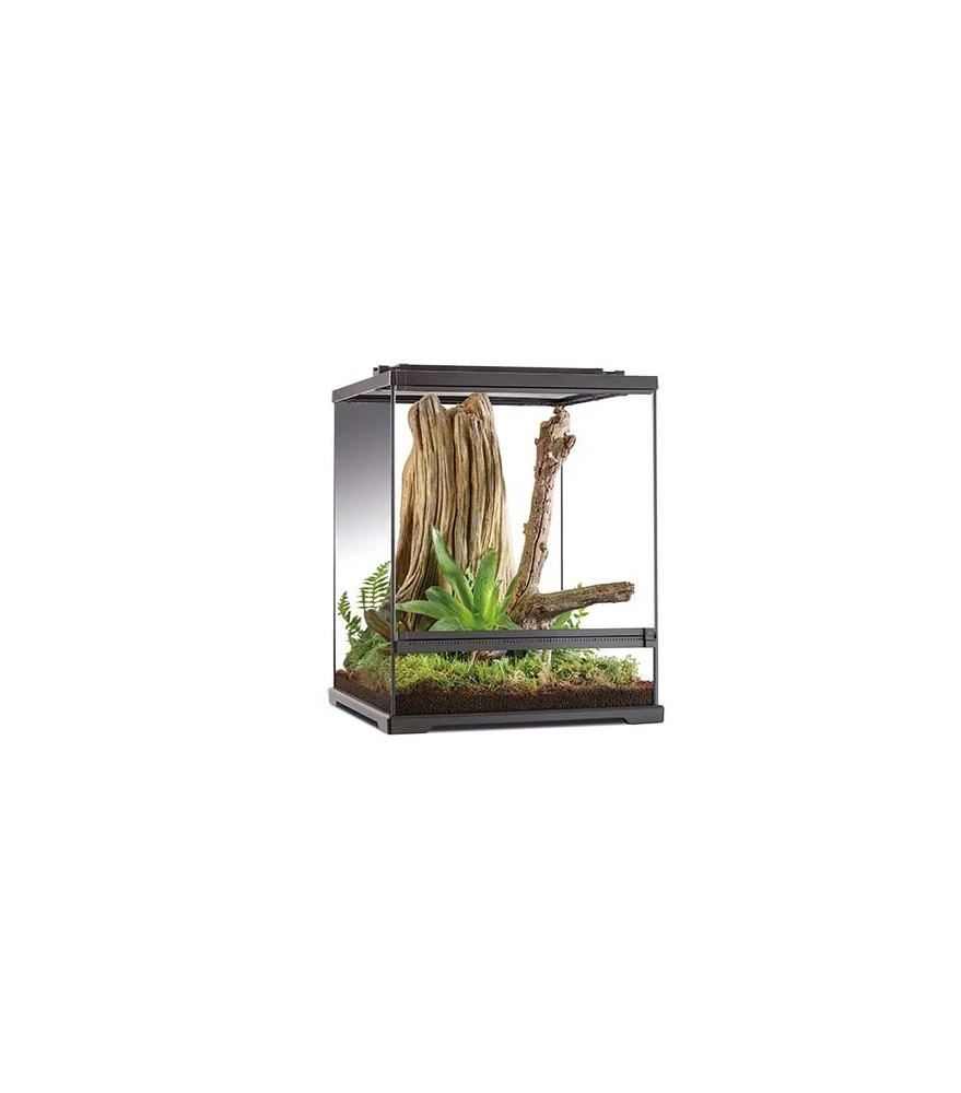 Exo Terra Frog Pijlgifkikker Terrarium 60x45x45 Zwart 1 Exo Terra Frog Pijlgifkikker Terrarium 60x45x45 Zwart