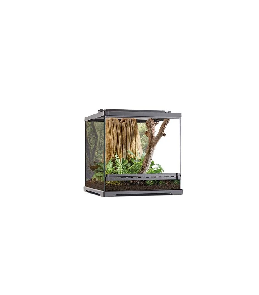 Exo Terra Frog Pijlgifkikker Terrarium 45,7x45x45cm Zwart 1 Exo Terra Frog Pijlgifkikker Terrarium 45,7x45x45cm Zwart