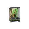 Exo Terra Glas Terrarium Incl. Achterwand 20x20x30CM Zwart