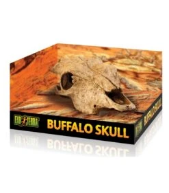 Exo Terra Buffalo Skull