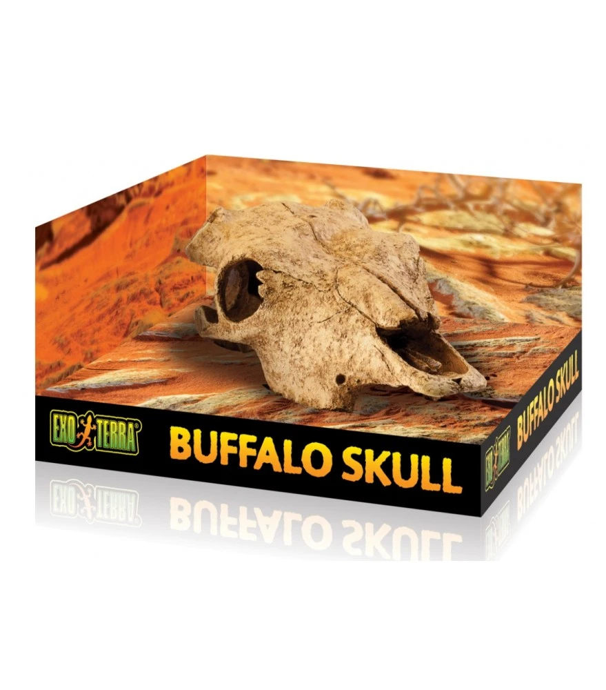 Exo Terra Buffalo Skull 1 Exo Terra Buffalo Skull
