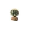 Exo Terra Cylinder Cactus M - 15x15x15,5cm