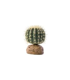 Exo Terra Cylinder Cactus S - 7x7x9,5cm