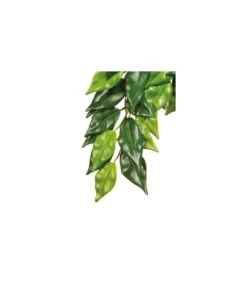 Exo Terra Ficus L - 22,5x4x80
