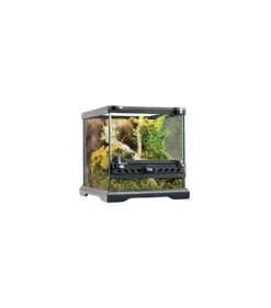 Exo Terra Glas Terrarium Incl. Achterwand 20x20x20CM Zwart