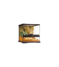 Exo Terra Glas Terrarium Incl. Achterwand 30x30x30CM Zwart