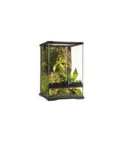 Exo Terra Glas Terrarium Incl. Achterwand 30x30x45CM Zwart