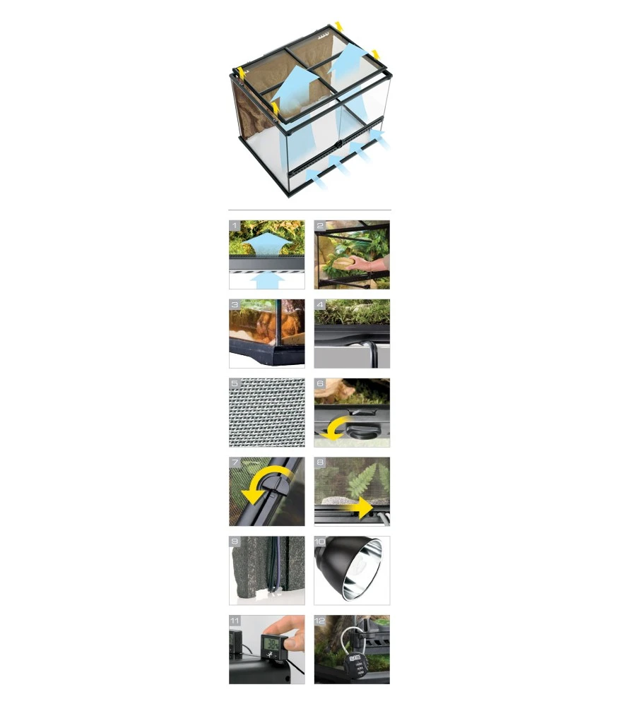 Exo Terra Glas Terrarium Incl. Achterwand 60x45x30CM Zwart 2 Exo Terra Glas Terrarium Incl. Achterwand 60x45x30CM Zwart - Afbeelding 2