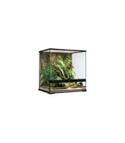 Exo Terra Glas Terrarium Incl. Achterwand 60x45x60CM Zwart