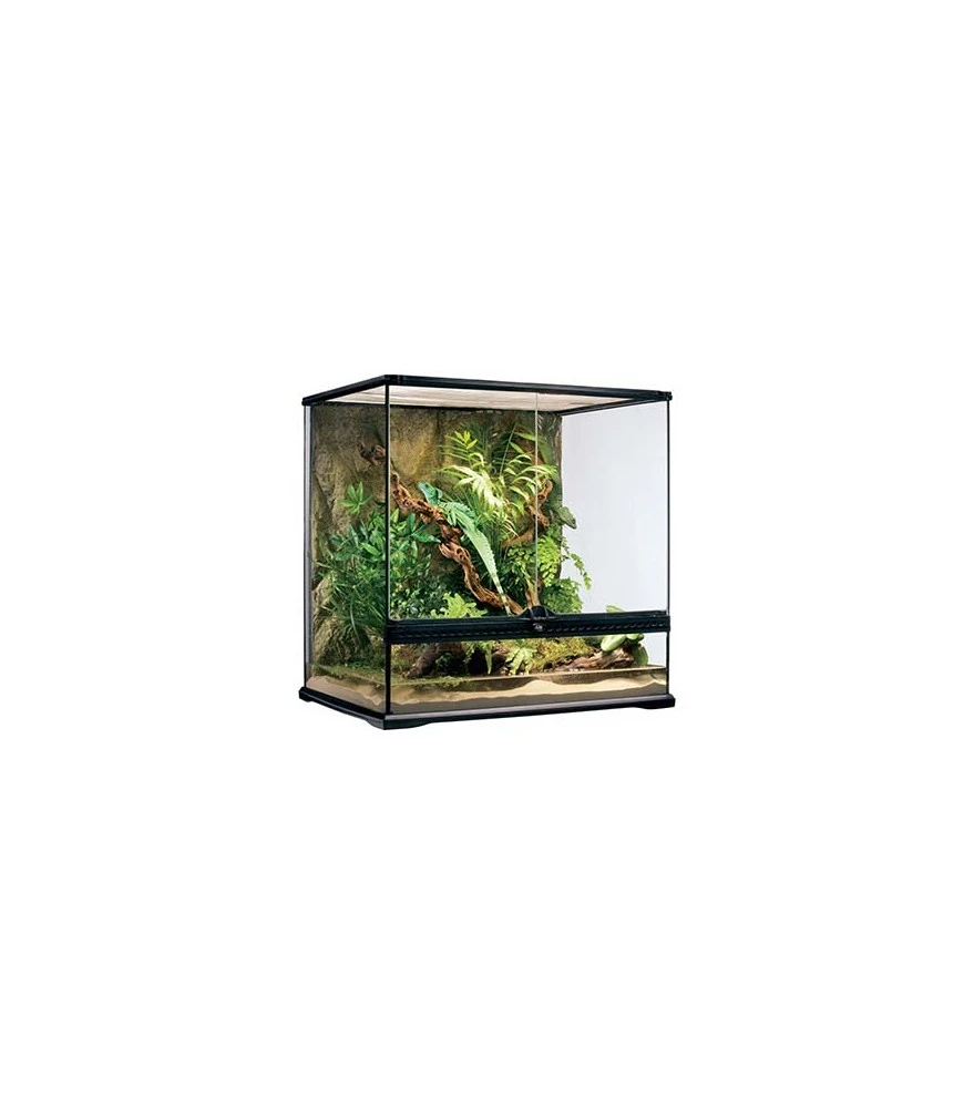 Exo Terra Glas Terrarium Incl. Achterwand 60x45x60CM Zwart 1 Exo Terra Glas Terrarium Incl. Achterwand 60x45x60CM Zwart