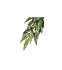 Exo Terra Ruscus M - 17,5x3x55,5cm