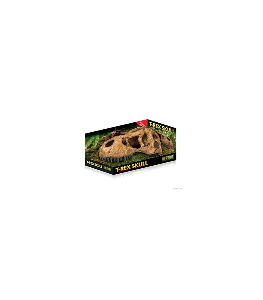 Exo Terra T-Rex Skufll Fossiele Schuilplaats 14,5x25,5x12,5cm 1 Exo Terra T-Rex Skufll Fossiele Schuilplaats 14,5x25,5x12,5cm