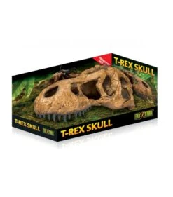 Exo Terra T-Rex Skull
