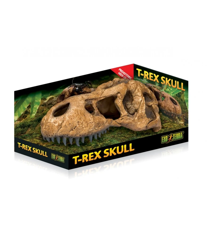 Exo Terra T-Rex Skull 1 Exo Terra T-Rex Skull