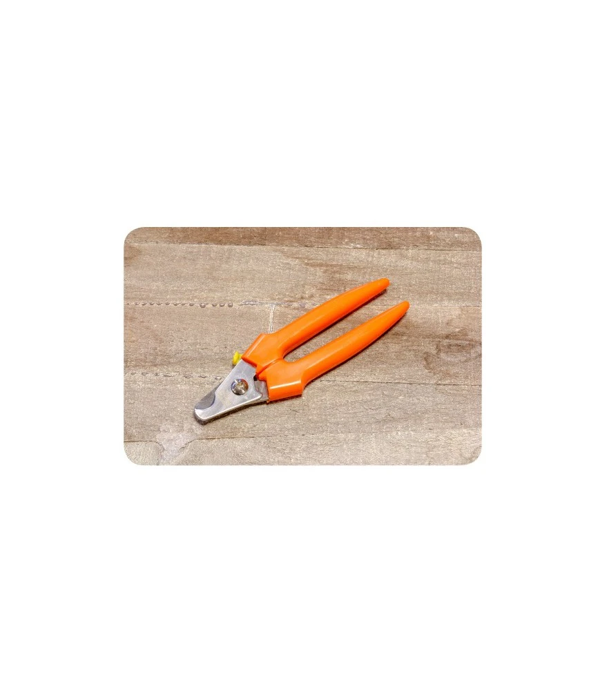 Jean Peau JP 549 Nageltang Oranje 1 Jean Peau JP 549 Nageltang Oranje