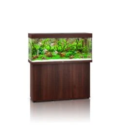 Juwel Rio 240 Led + Meubel -Huisdierbenodigdheden juwel rio 240 led meubel 2