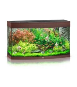 Juwel Vision 180 LED -Huisdierbenodigdheden juwel vision 180 led 2