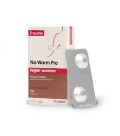 No Worm Kat 2 Tabletten