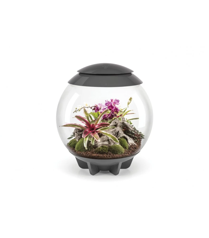 Oase Biorb Air Grijs 60 1 Oase Biorb Air Grijs 60