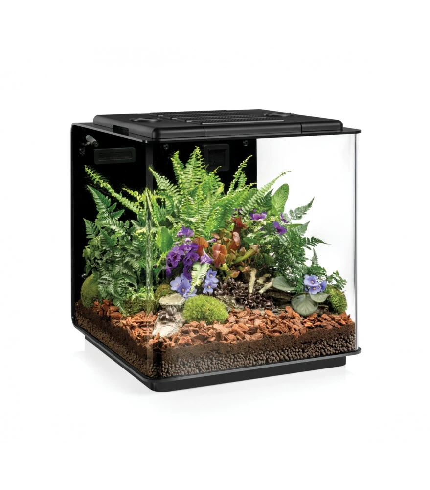 Oase BiOrb Earth 125 Terrarium/ Vivarium 3 Oase BiOrb Earth 125 Terrarium/ Vivarium - Afbeelding 3
