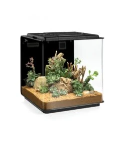 Oase BiOrb Earth 125 Terrarium/ Vivarium