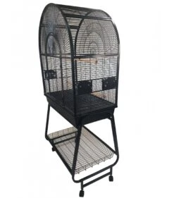 Strong, Villa Bianca