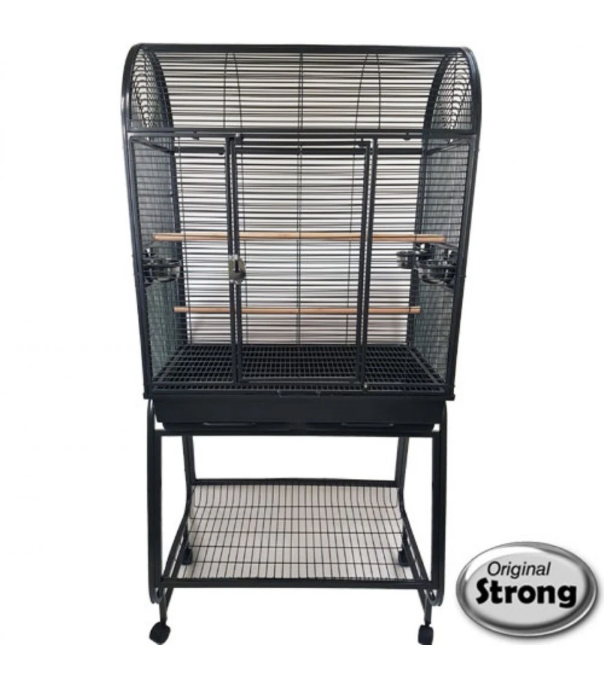 Strong Villa Nora, L